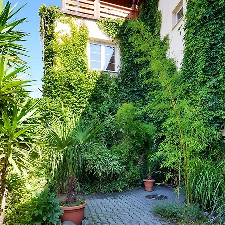 Exotic Appartement