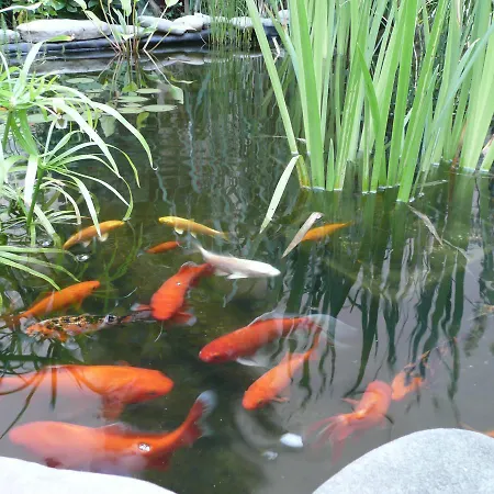 Exotic Apartmán Ostrava