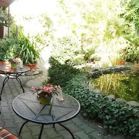 Exotic Apartament